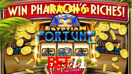 Experiência VIP Bet71